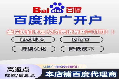SEM代理服务：案例对比，效果哪家更胜一筹